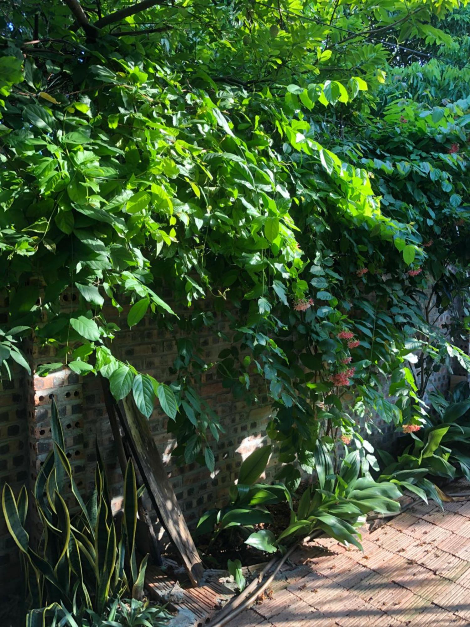 Thuy Xuyen Tam Coc Homestay Vu Lam 외부 사진