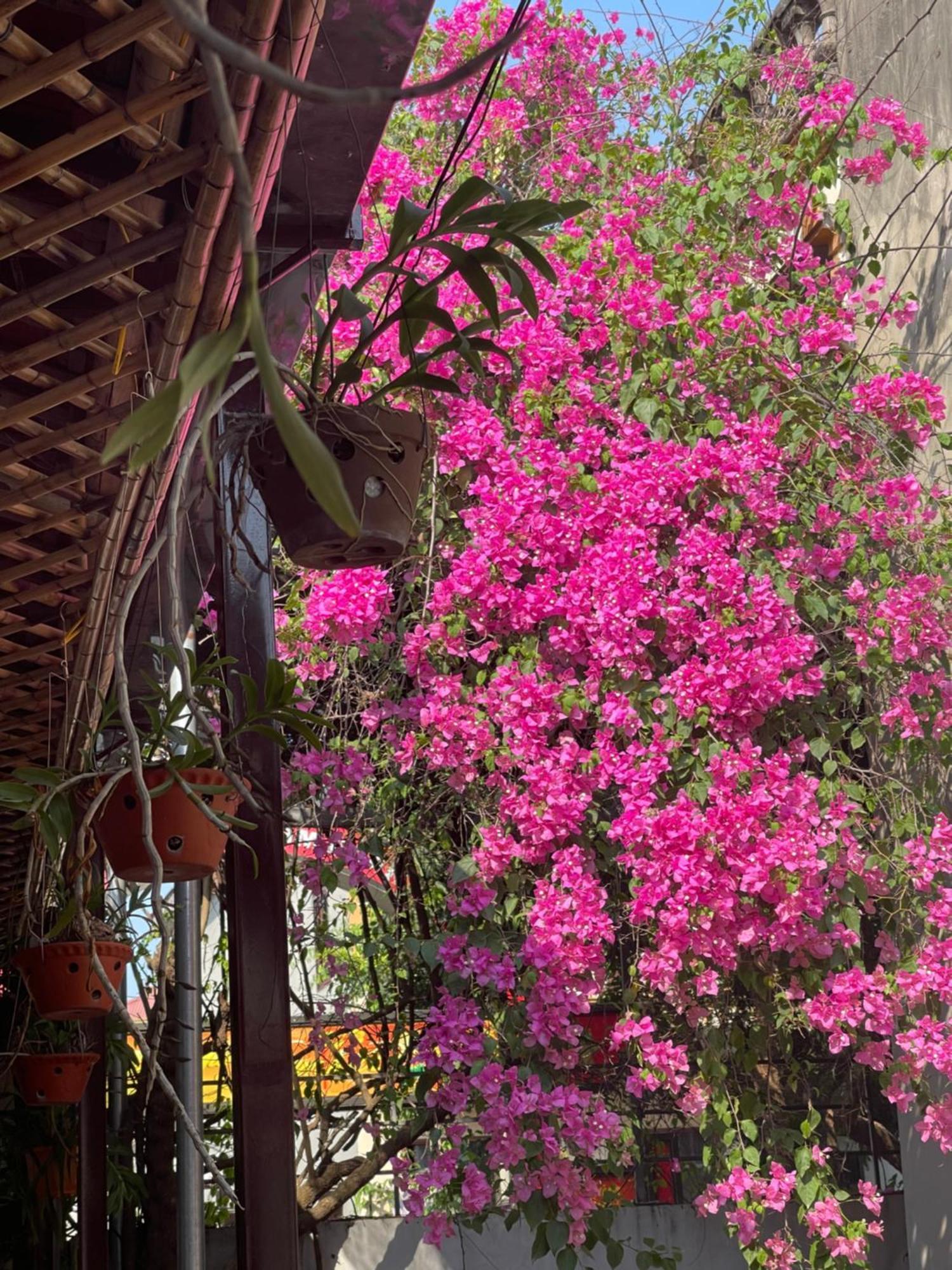 Thuy Xuyen Tam Coc Homestay Vu Lam 외부 사진