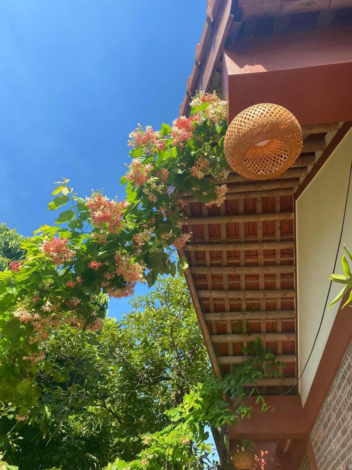 Thuy Xuyen Tam Coc Homestay Vu Lam 외부 사진